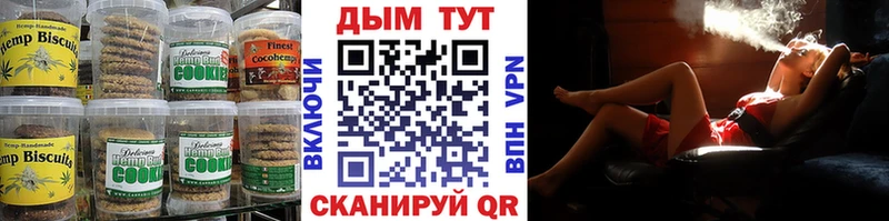 где можно купить наркотик Новотроицк omg вход Canna-Cookies марихуана
