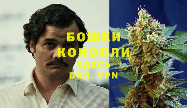 мдпв Покачи